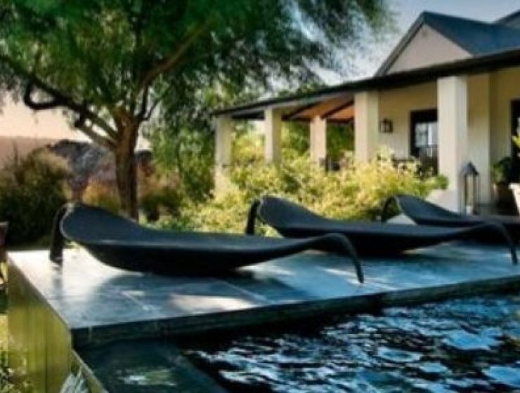 TravelinJava Trip Stay Cool Image Brand